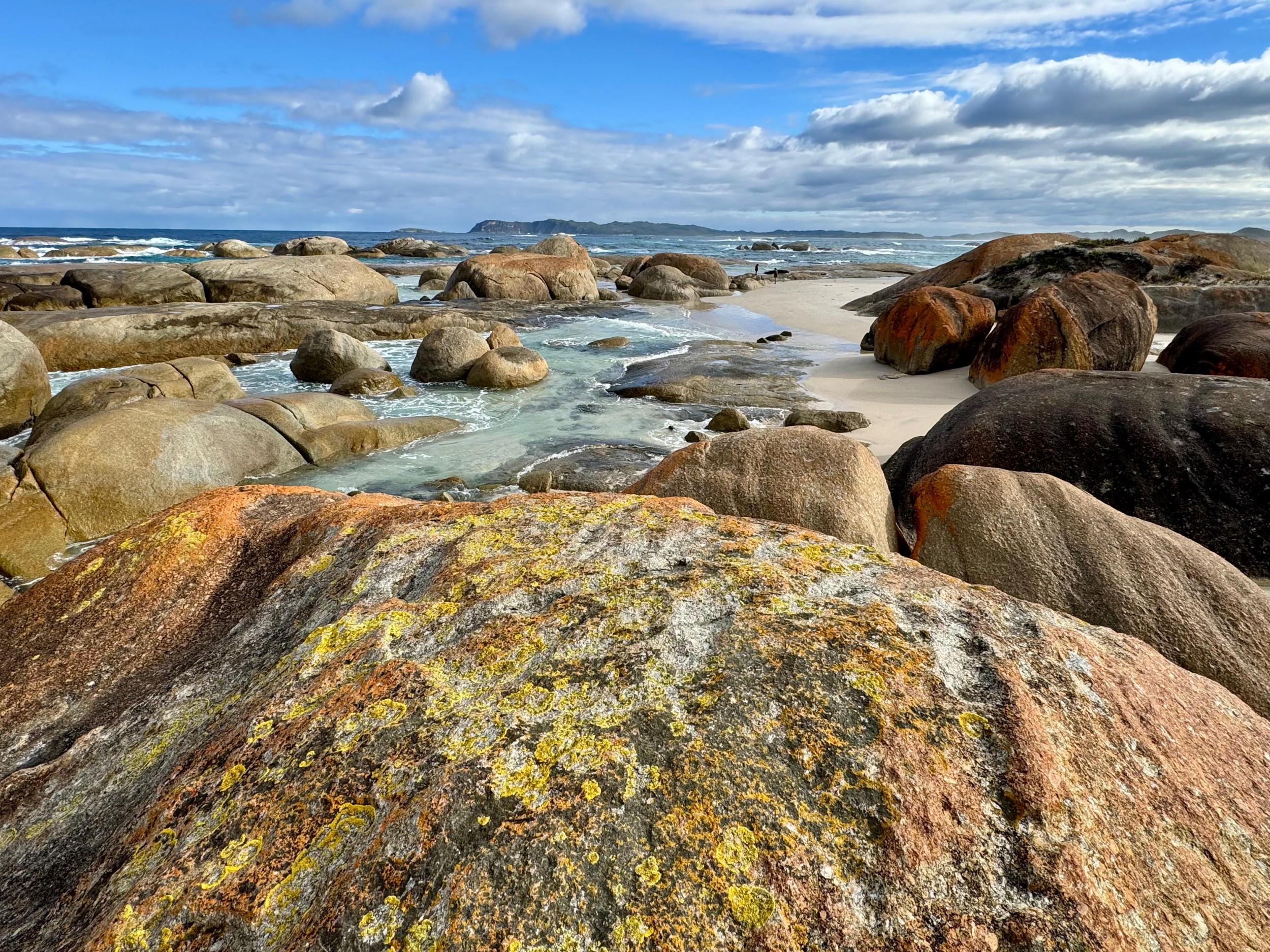 20