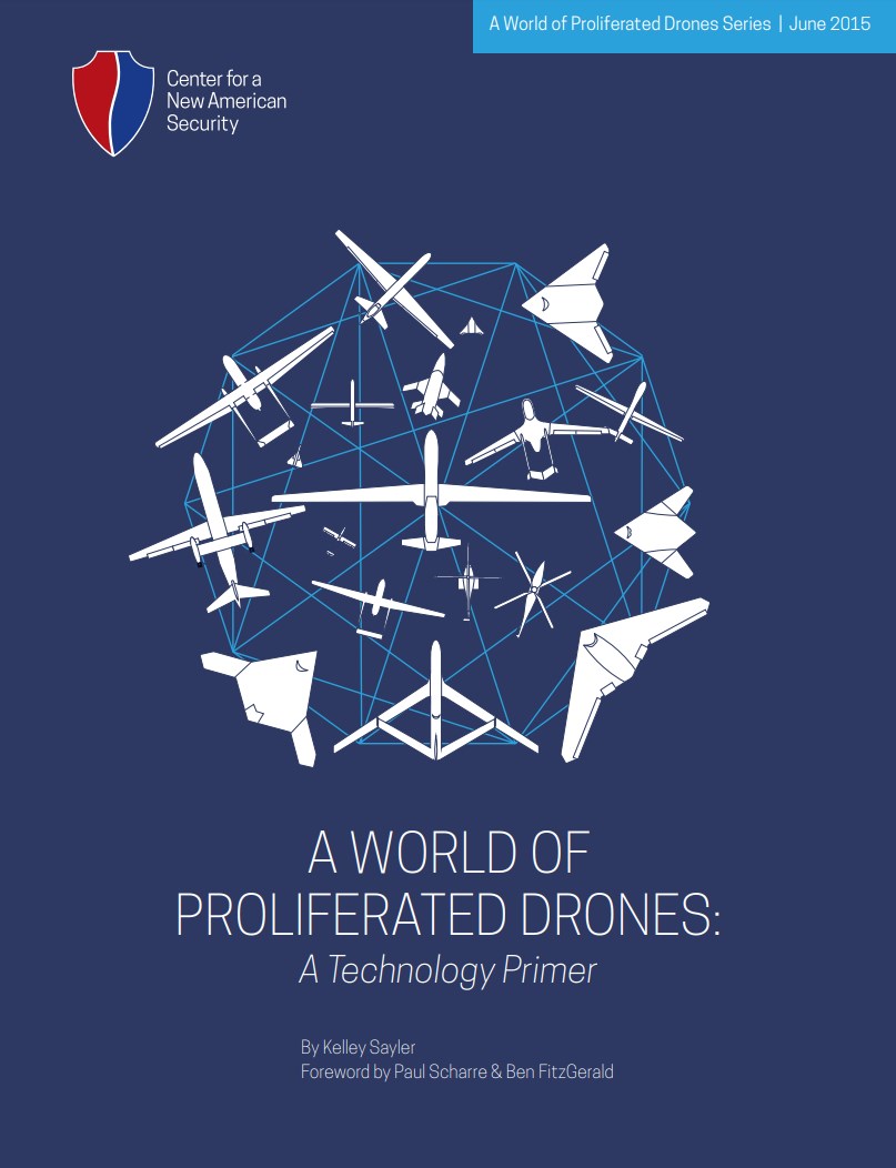 Proliferated Drones : A Perspective on France
