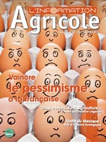 Darfour : quelle intervention ?