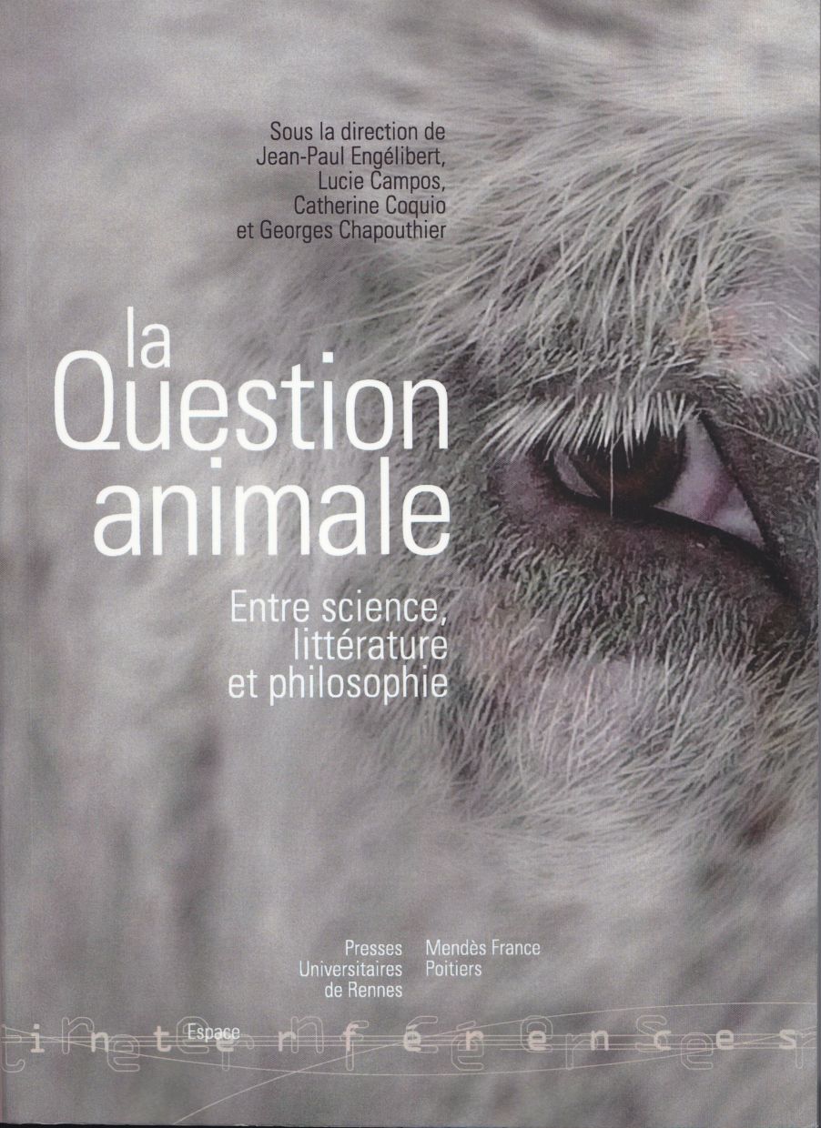 Les principaux courants en éthique animale